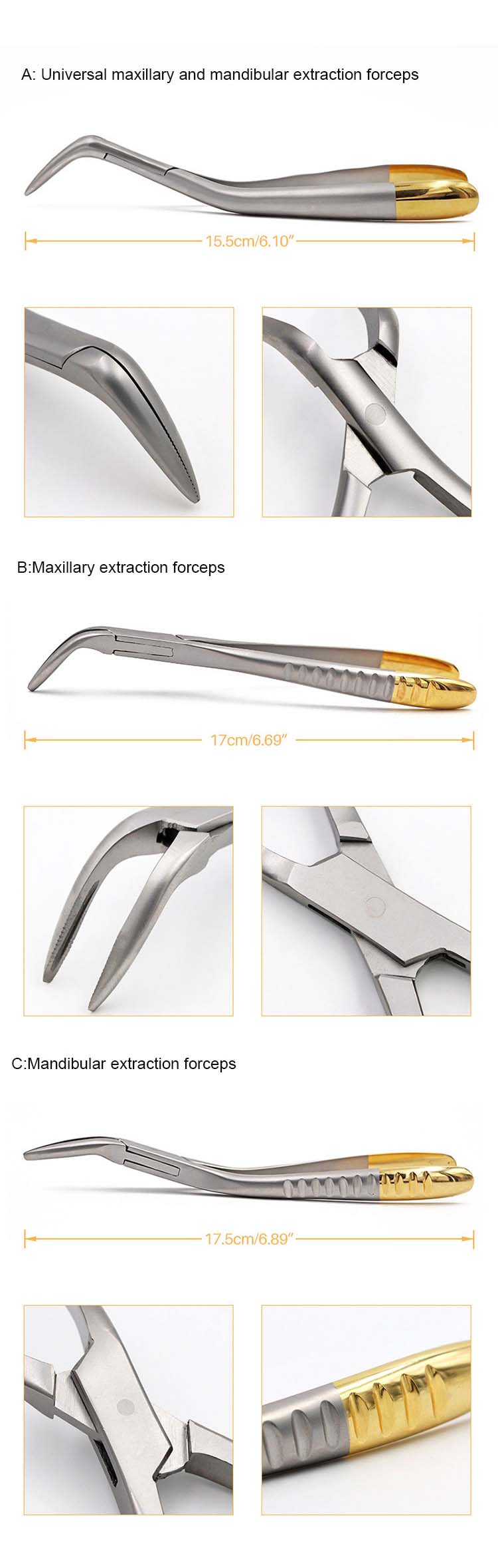 upper dental extraction forceps 