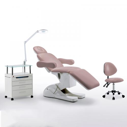 Electric Beauty Facial Bed Massage Table