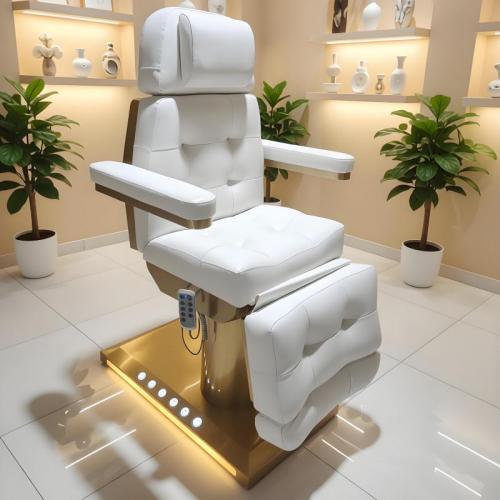 Electric Facial Bed