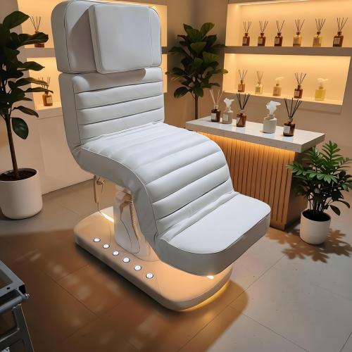 Electric Facial Bed